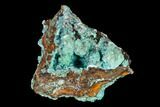 Aurichalcite, Rosasite and Calcite Association - Utah #146184-1